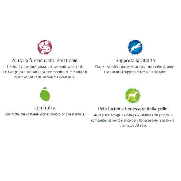 Bauzaar Natural Trainer Adult Medium con Pollo Fresco e riso Offerte speciali