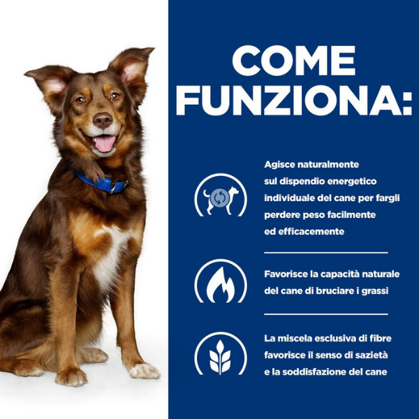 Bauzaar Hill's Prescription Diet Metabolic Canine Pollo Sconti VIP