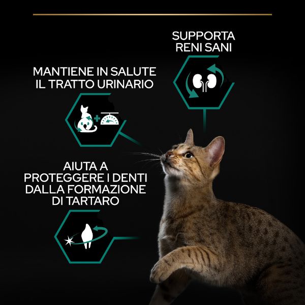 Bauzaar Purina Pro Plan Renal Plus Sterilised Adult 1+ con Salmone Ultimo giorno