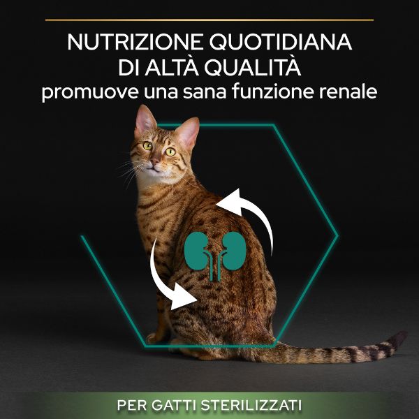Bauzaar Purina Pro Plan Renal Plus Sterilised Adult 1+ con Salmone Ultimo giorno