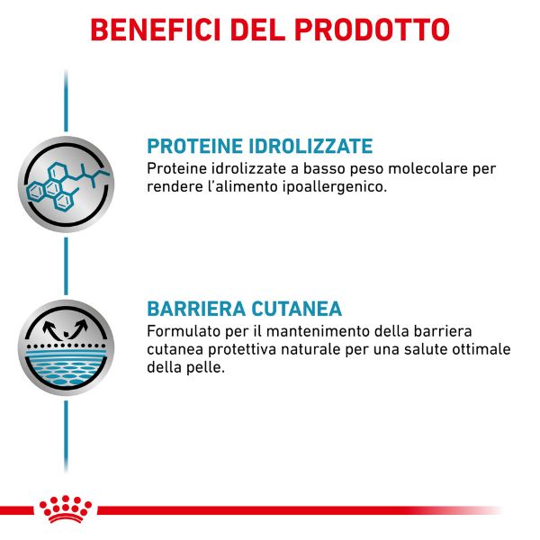 Bauzaar confezione da 6 Fino al 55% di sconto