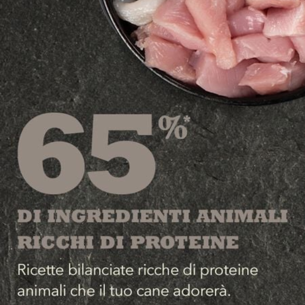 Bauzaar Acana Light and Fit Recipe Black Friday Prezzi
