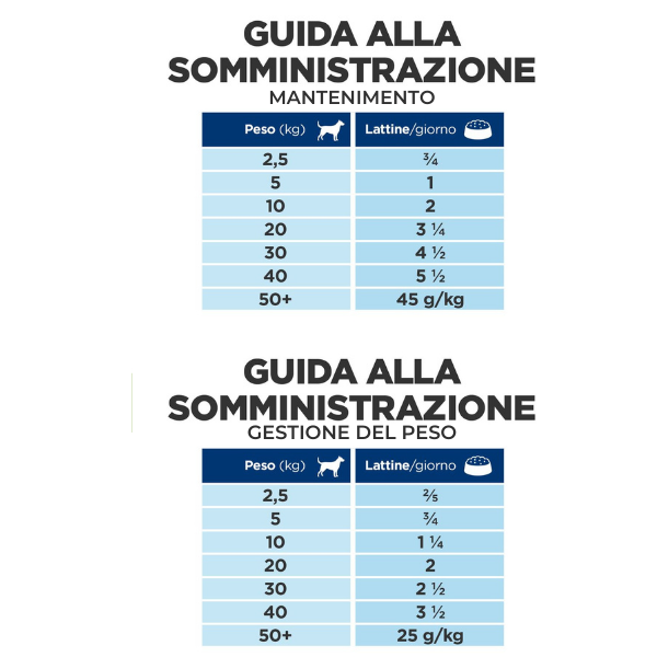 Bauzaar confezione da 6 In Vendita