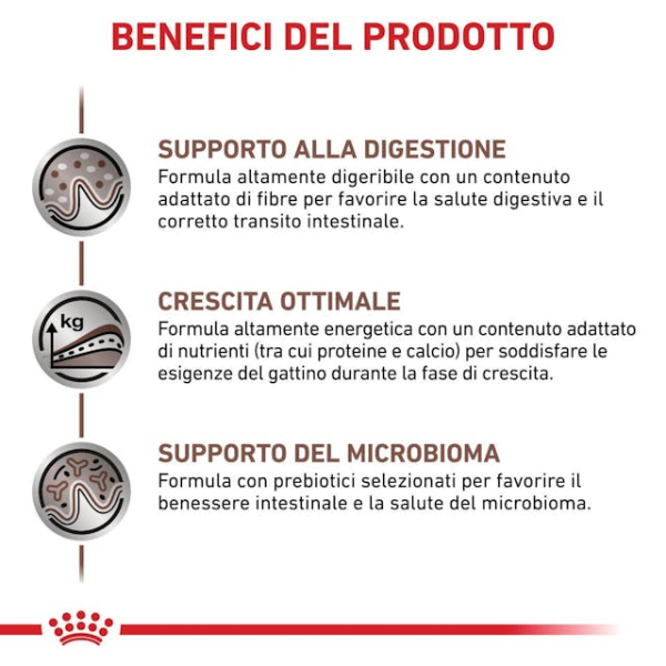 Bauzaar confezione da 6 Saldi Di Fabbrica