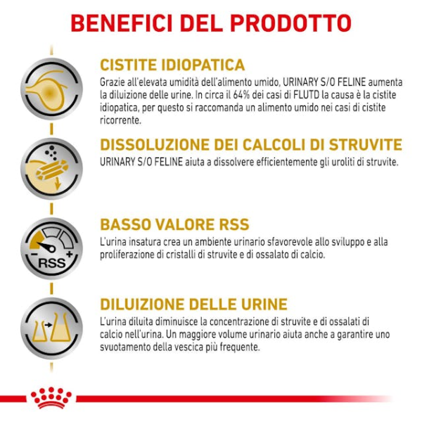 Bauzaar Royal Canin Urinary S/O con Manzo I Più Venduti