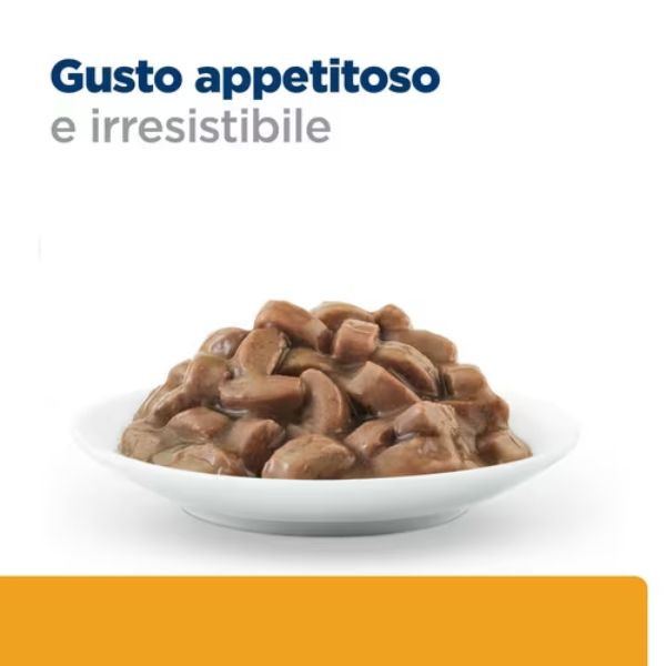Bauzaar confezione da 12 Negozio