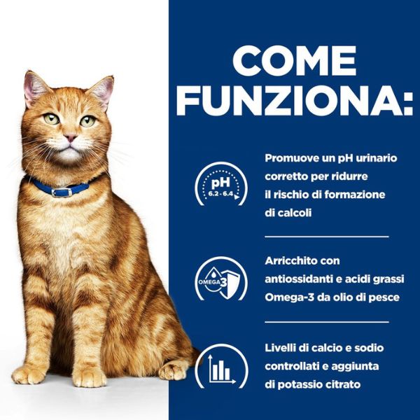 Bauzaar confezione da 12 Negozio