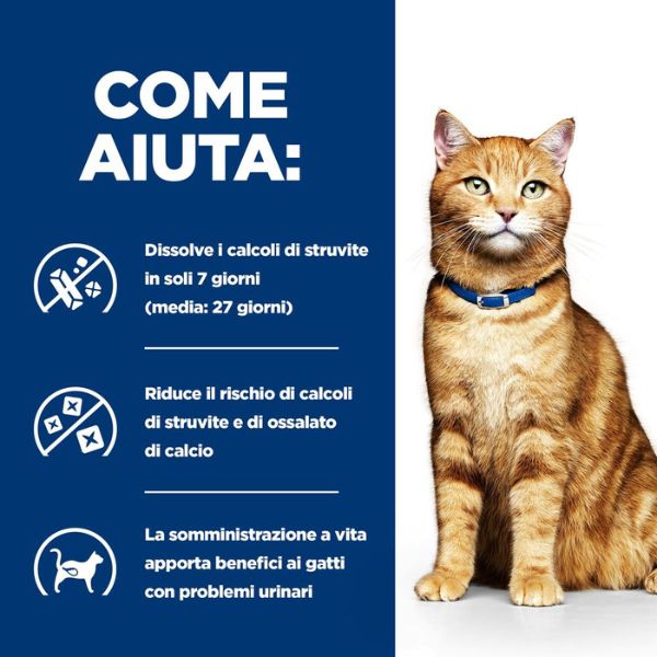 Bauzaar confezione da 12 Negozio
