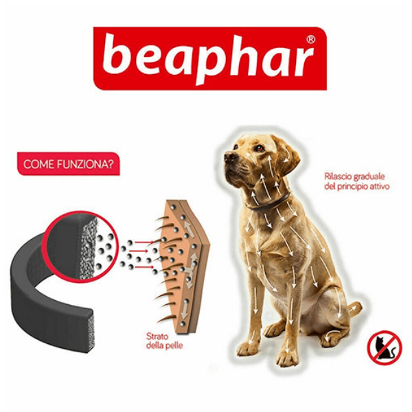 Bauzaar Beaphar Canishield Collare Antiparassitario Grande vendita