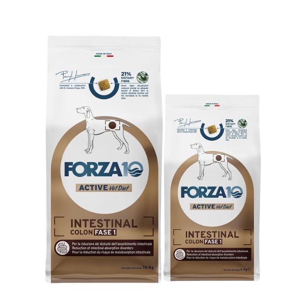 Bauzaar Forza10 Active Cane Intestinal Colon Fase 1