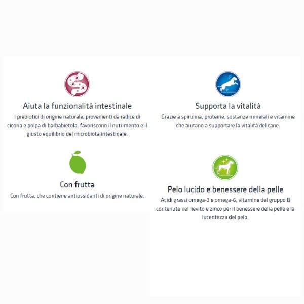 Bauzaar Natural Trainer Adult Medium con Tonno Offerta Anniversario