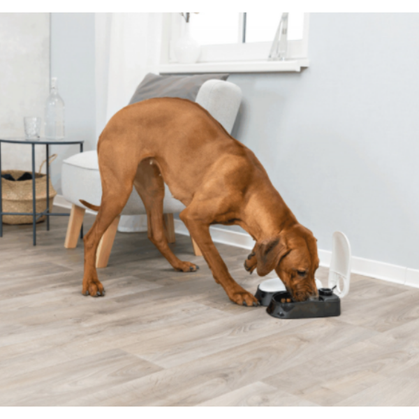 Bauzaar Distributore Automatico Doppio Tx2 Trixie Offerte esclusive