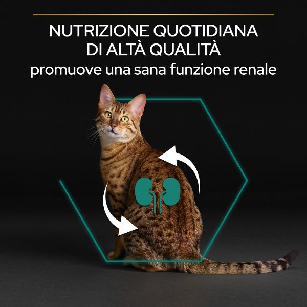 Bauzaar Purina Pro Plan Renal Plus Sterilised Adult 1+ con Coniglio Nuovi prodotti