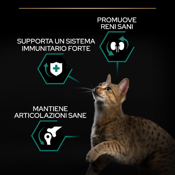 Bauzaar Purina Pro Plan Renal Plus Sterilised Adult 1+ con Coniglio Nuovi prodotti