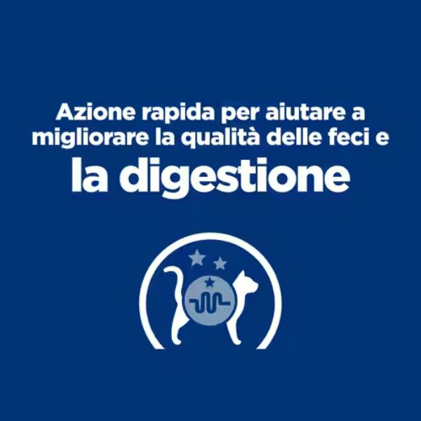 Bauzaar confezione da 12 Offerte speciali
