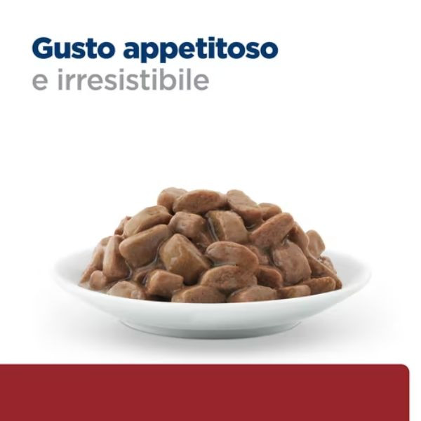 Bauzaar confezione da 12 Offerte speciali