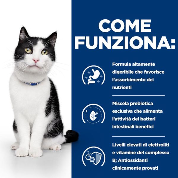 Bauzaar confezione da 12 Offerte speciali