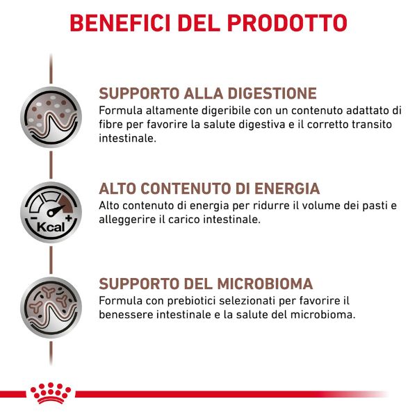 Bauzaar Royal Canin Gastrointestinal Canine Patè Sconti VIP