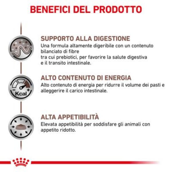 Bauzaar Royal Canin Gastrointestinal Canine Prezzo basso