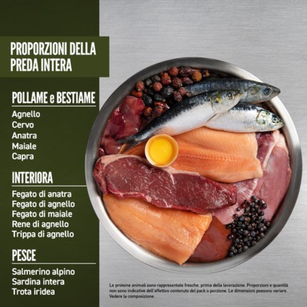 Bauzaar Orijen Tundra Dog Food ACQUISTA ORA