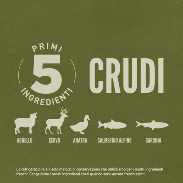 Bauzaar Orijen Tundra Dog Food ACQUISTA ORA