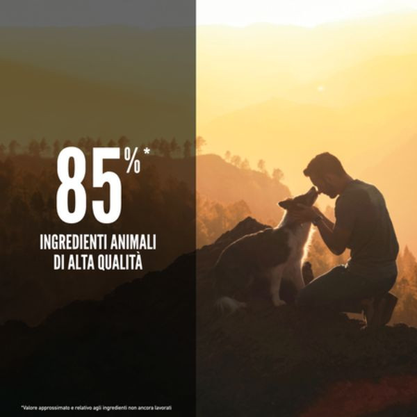 Bauzaar Orijen Tundra Dog Food ACQUISTA ORA