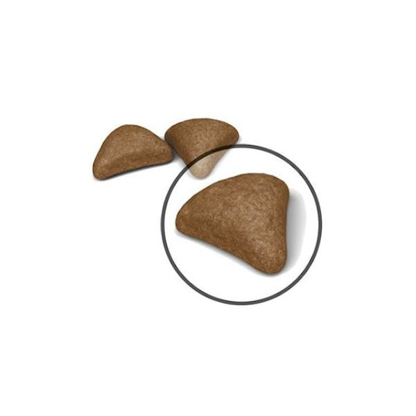 Bauzaar Royal Canin Feline Hairball Care Trasporto libero internazionale