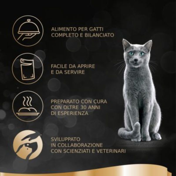 Bauzaar Sheba Selezione in salsa Multipack 12x85 gr Italy
