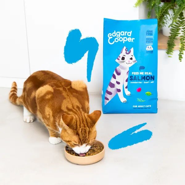 Bauzaar Edgard & Cooper Cat Adult Grain Free Salmone Spedizione Gratuita