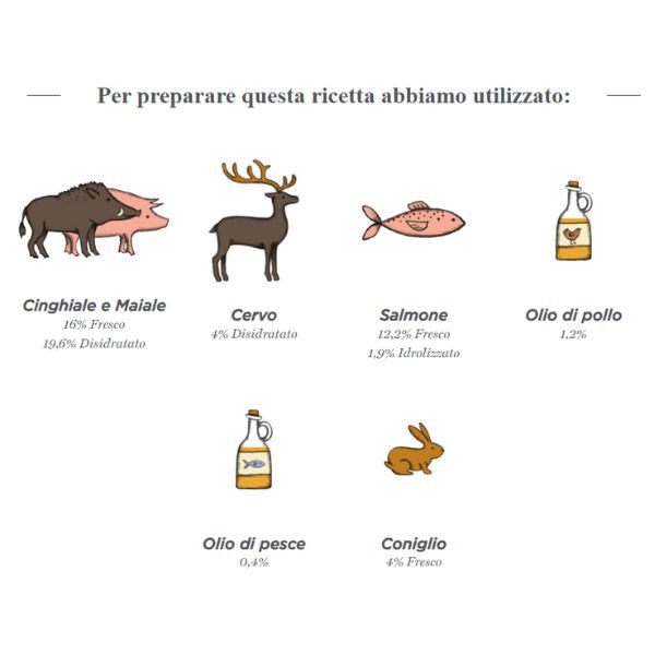 Bauzaar Harper and Bone Sterilised Cat Grain Free Wild mountain Acquista Ora