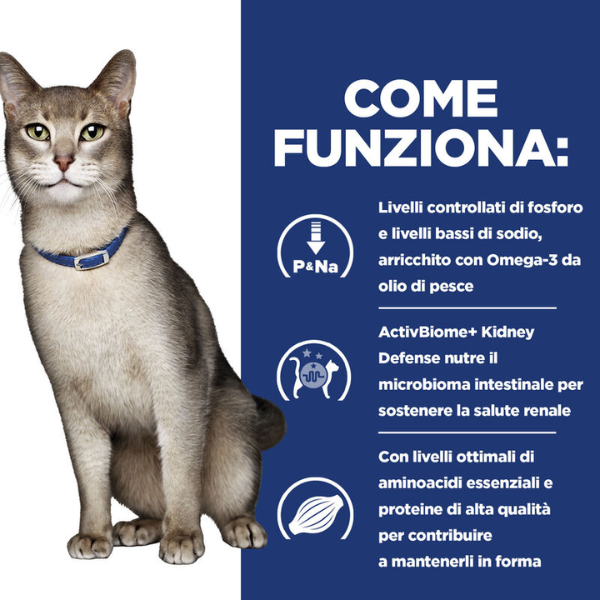 Bauzaar confezione da 6 Promozione Limitata