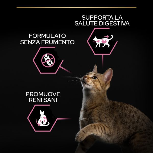 Bauzaar Purina Pro Plan Delicate Digestion Sterilised Adult 1+ con Pollo Prezzo Ridotto