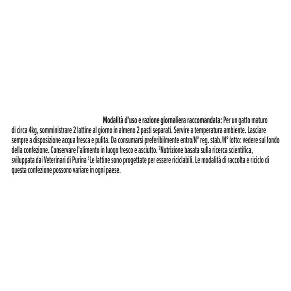 Bauzaar confezione da 24 Presa