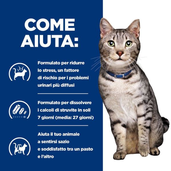 Bauzaar confezione da 12 Vendita Calda