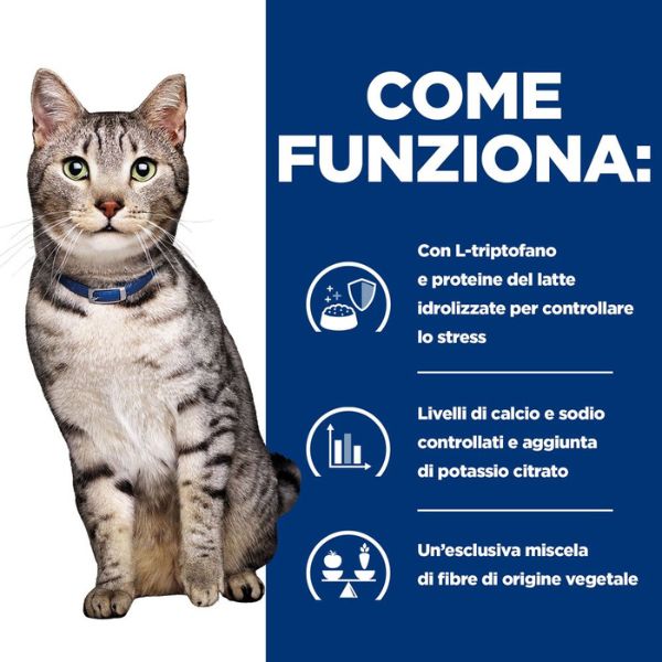 Bauzaar confezione da 12 Vendita Calda