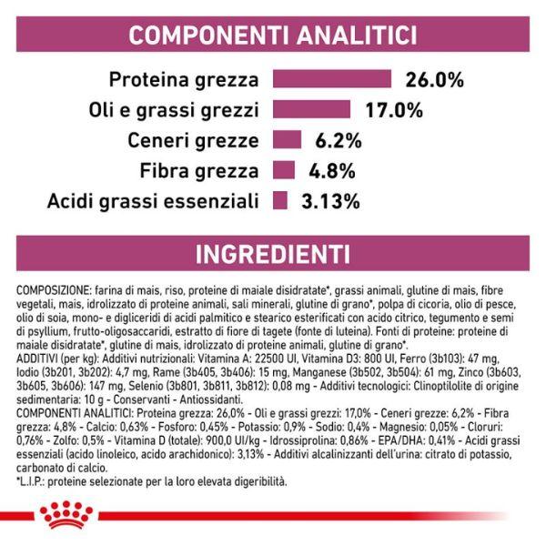 Bauzaar Royal Canin Veterinary Renal Special Feline Vendita Economica