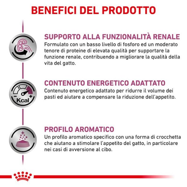 Bauzaar Royal Canin Veterinary Renal Special Feline Vendita Economica