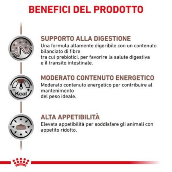 Bauzaar Royal Canin Gastrointestinal Moderate Calorie Feline Saldi Di Fabbrica