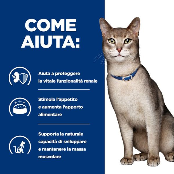 Bauzaar confezione da 12 I Più Venduti
