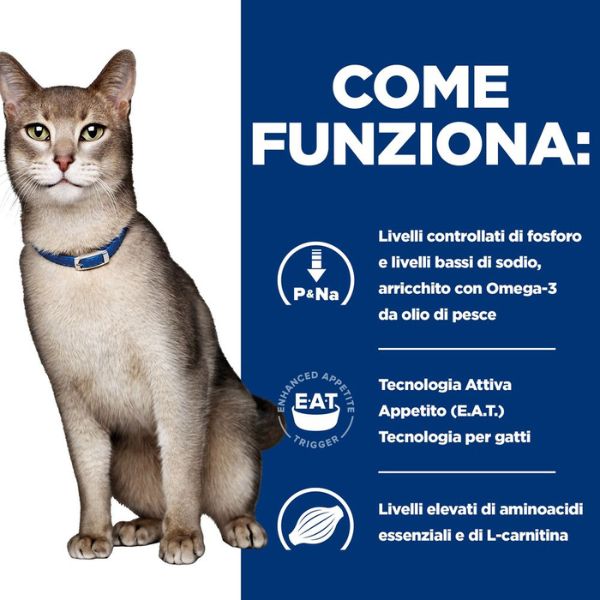 Bauzaar confezione da 12 I Più Venduti