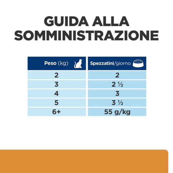 Bauzaar confezione da 12 I Più Venduti
