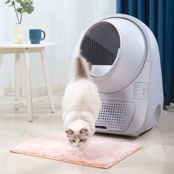 Bauzaar Lettiera autopulente per gatti Scooper Young CatLink (no Wi-fi) Negozio