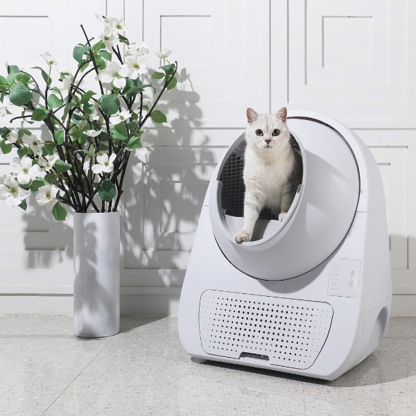 Bauzaar Lettiera autopulente per gatti Scooper Young CatLink (no Wi-fi) Negozio