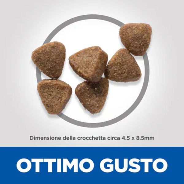 Bauzaar Hill's Science Plan Kitten Alimento per gattini con Pollo Offerta speciale