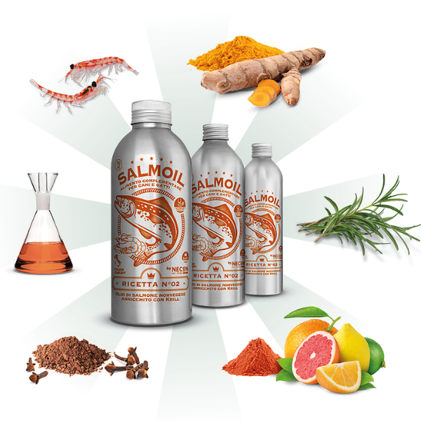 Bauzaar Salmoil olio di salmone per cani e gatti Benessere Intestinale Grande vendita