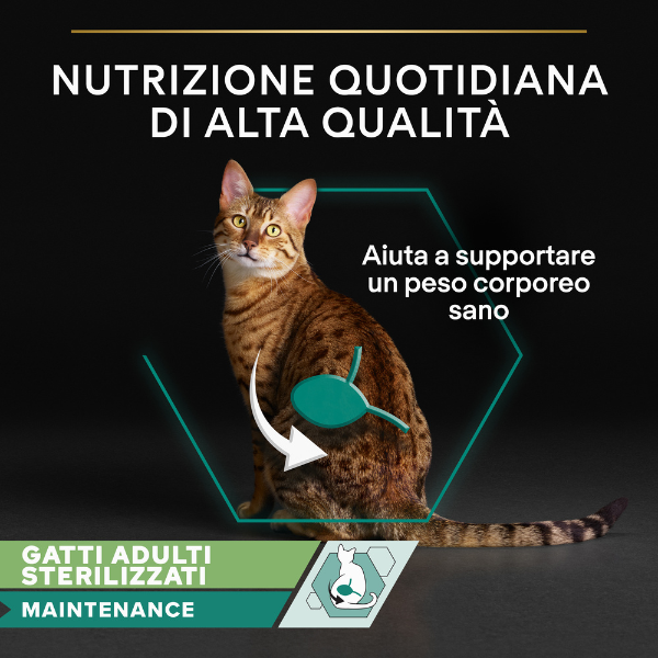 Bauzaar Purina Pro Plan Cat Adult Sterilised Maintenance Terrine Multipack 12x85g Shopping online