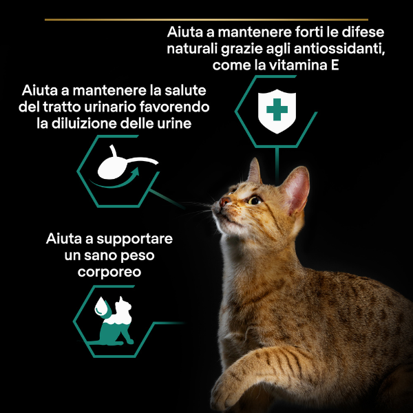 Bauzaar Purina Pro Plan Cat Adult Sterilised Maintenance Terrine Multipack 12x85g Shopping online