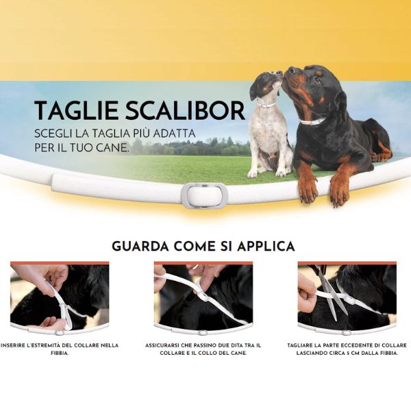 Bauzaar Scalibor Collare Antiparassitario per Cani Offerta esclusiva