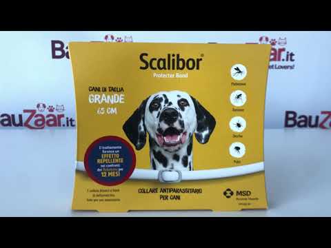 Bauzaar Scalibor Collare Antiparassitario per Cani Offerta esclusiva
