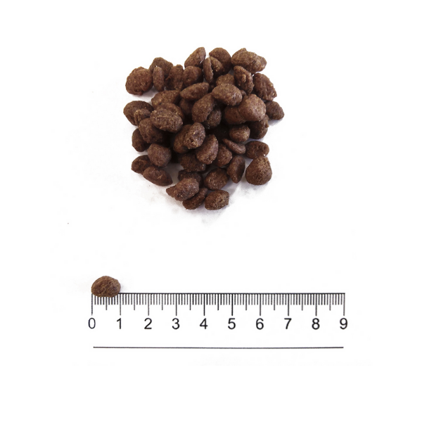 Bauzaar Prolife Grain Free Cane Adult Sensitive Mini Sogliola e Patate Offerta natalizia